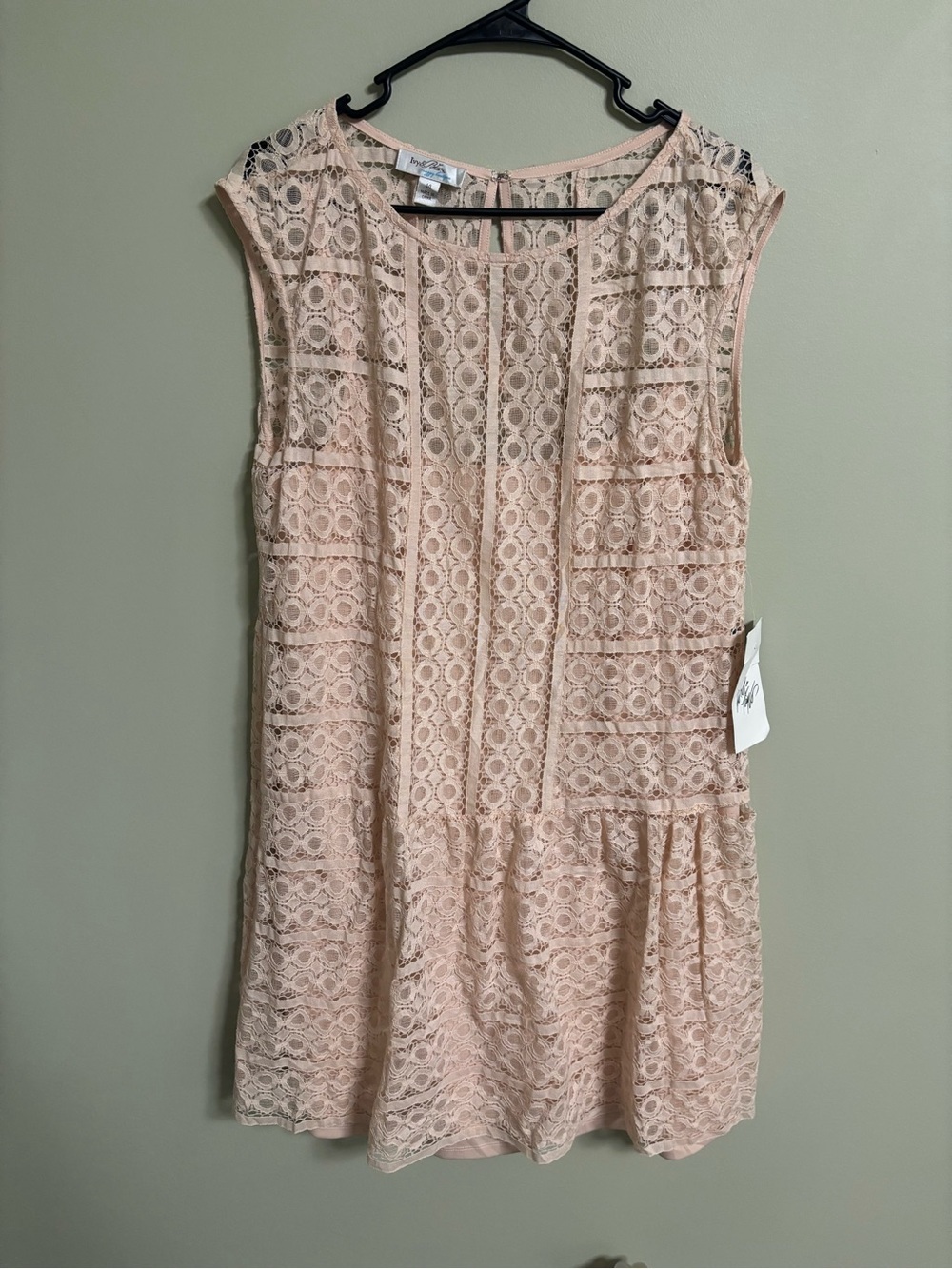 Ivy & Blu Lace Shift Dress Cap Sleeve Drop Waist Size 14 New Feminine Romantic
